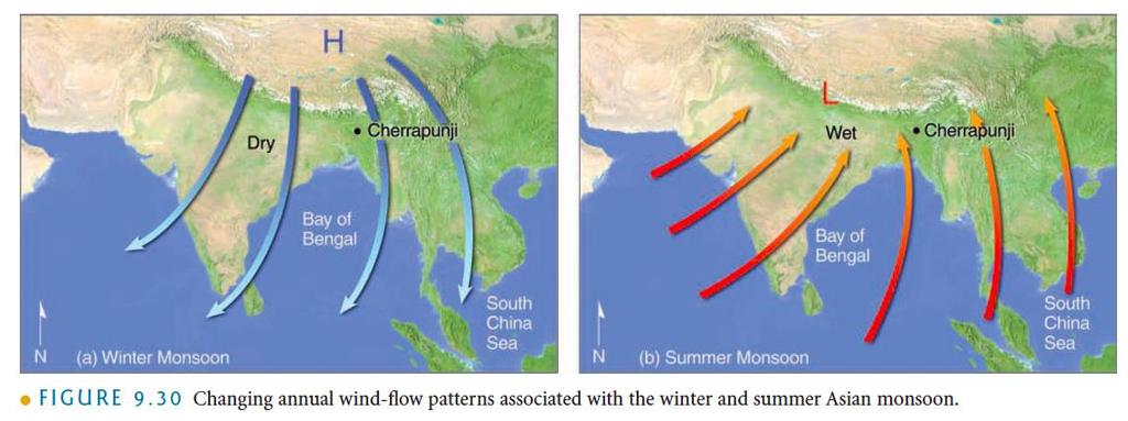 South Asian Monsoon circulations