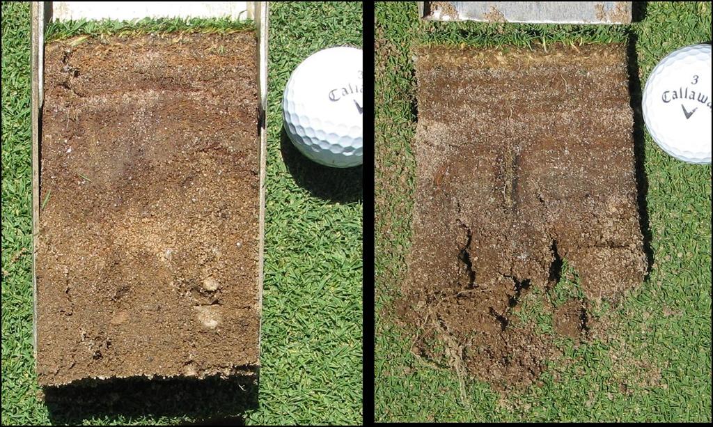 Page 4 organic matter are a serious concern during hot and wet weather. Turf roots will be prone to rapid decline because the layer of organic matter will heat up and limit soil oxygen.