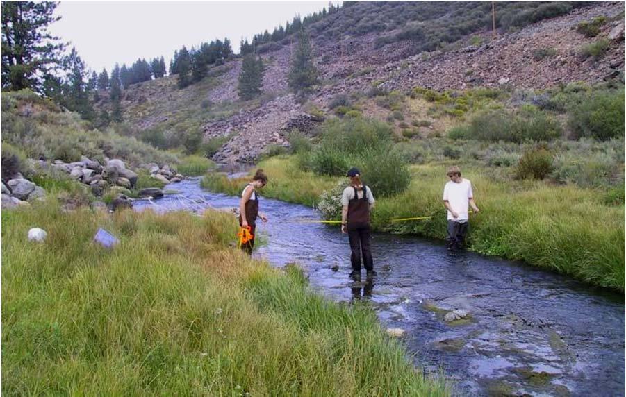 Martis Creek: a 5 year perspective Sampled 1979-1983 Fish assemblage 5 native 2 non-native trout Habitat variables Microhabitat use Discharge