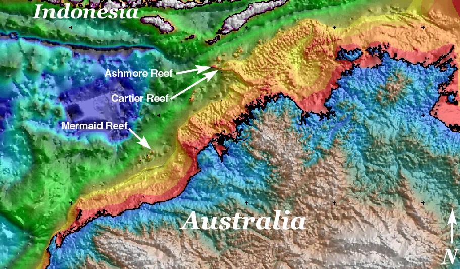 BACKGROUND Prior to the survey program for this report, surveys were conducted at Ashmore Reef in October 2000 and Cartier Reef in November 2001 by ecologists from the Australian Institute of Marine