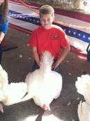 COLUMBIA, NC NEWSLETTER NC State Fair Turkey Show The