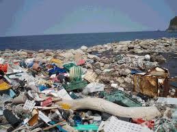 Human Impacts on the Ocean Marine pollution and deteriorating habitat Paradox: ocean provides food but is used