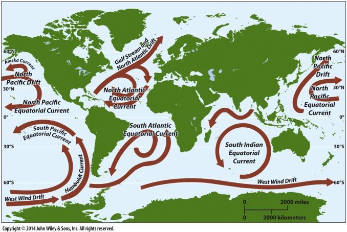 The Global Ocean Patterns of circulation Winds over the ocean produce currents Mass movements of surface-ocean water Gyres- large circular ocean currents Clockwise gyre in North Atlantic Coriolis