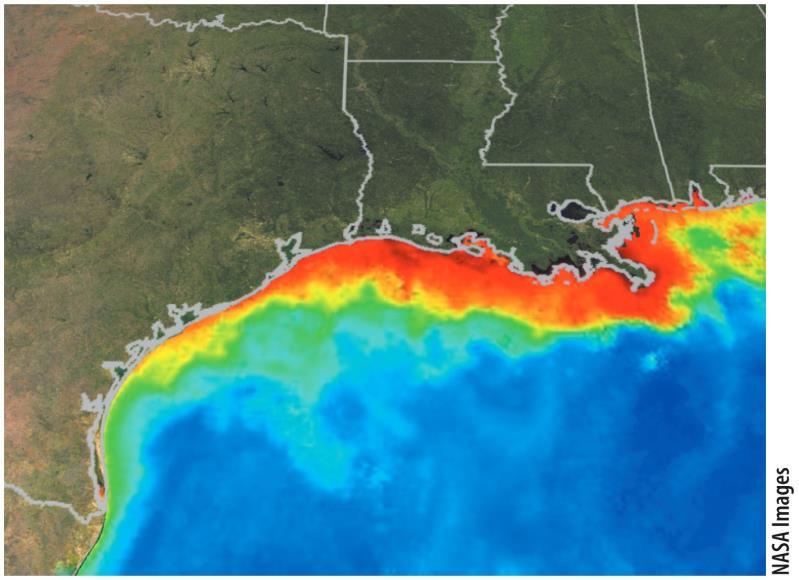 Case Study The dead zone in the Gulf of Mexico N and P runoff from Mississippi River Algae grow rapidly,
