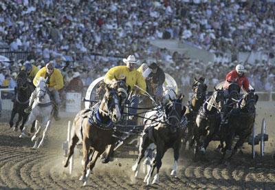 " We've gathered some photography from this year's Stampede rodeo events. It looks wild and fun.