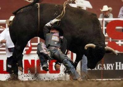 Scott Schiffner hangs onto the bull Afro Man after he rode