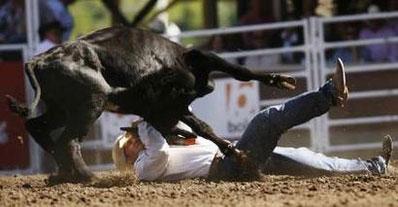 credit: Todd Korol, Reuters Canada Wade Sumpter wrestles a steer to win