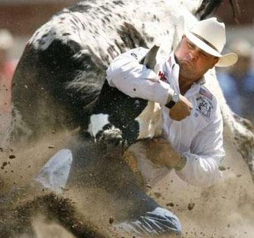 Photo credit: Todd Korol, Reuters Canada Jason Miller wrestles a steer in