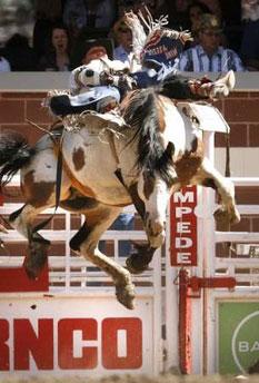Photo credit: Todd Korol, Reuters Canada Heath Ford rides the horse