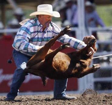 Photo credit: Todd Korol, Reuters Canada Jeff Chapman throws a steer to