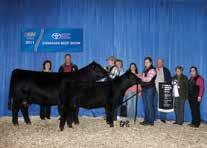 Barbara 16A s dam was shown alongside her granddam in 2011 when they were selected as Reserve Senior Female at the RAWF.