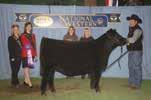 The following year she was successfully JL Evening Tinge 8001 crowned Ontario Show female of the year.