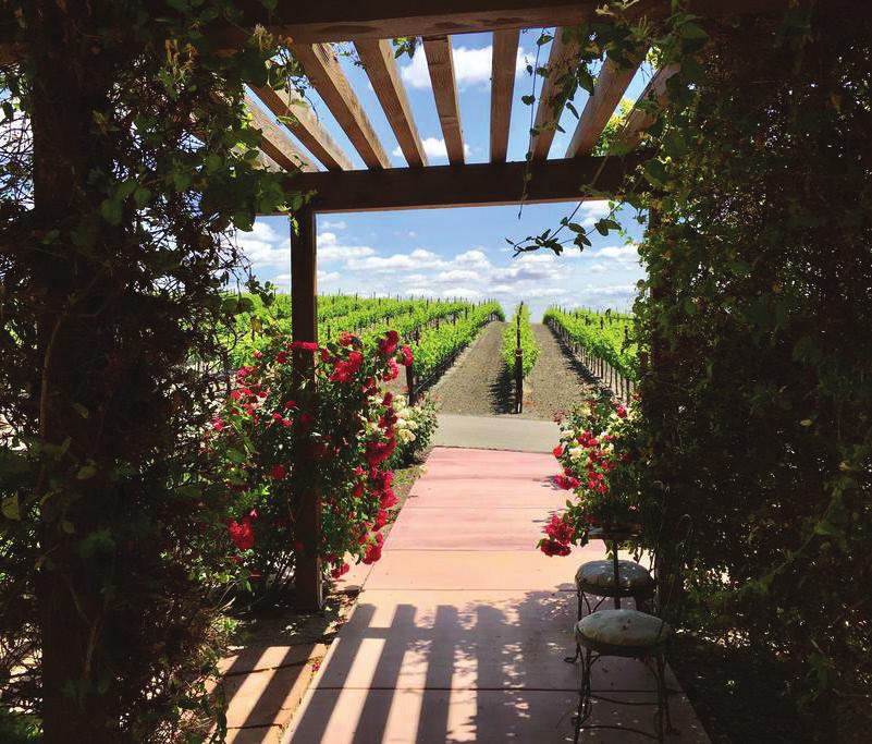 PASO ROBLES GETAWAY Escape to Paso Robles for a weekend of wine and relaxation.