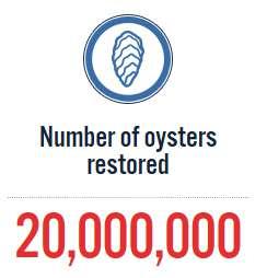 2035 Billion Oyster Project