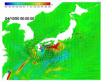 During the early stage, Typhoon TOKAGE passed south part of Kuroshio ain axis. In contrast, during the late stage, it passed north part.