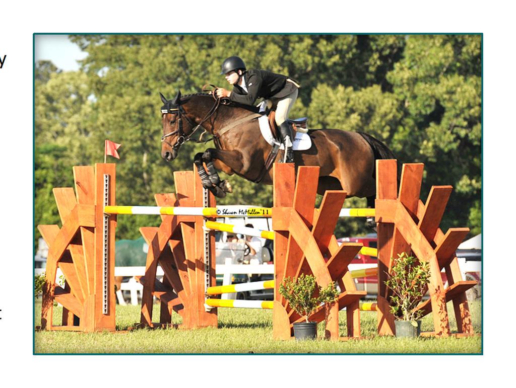 3 WELCOME TO THE EXCITING WORLD OF SHOW JUMPING! OVERVIEW Show jumping is the leading equestrian ac vity in the U.S. Each year, over 600,000 horses compete regularly in recognized and unrecognized compe ons across the country.