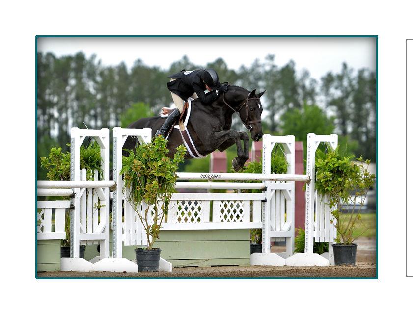 in monthly newsletter Banner display on site (sponsor provides banners) Full color listing on scoreboard (USEF shows