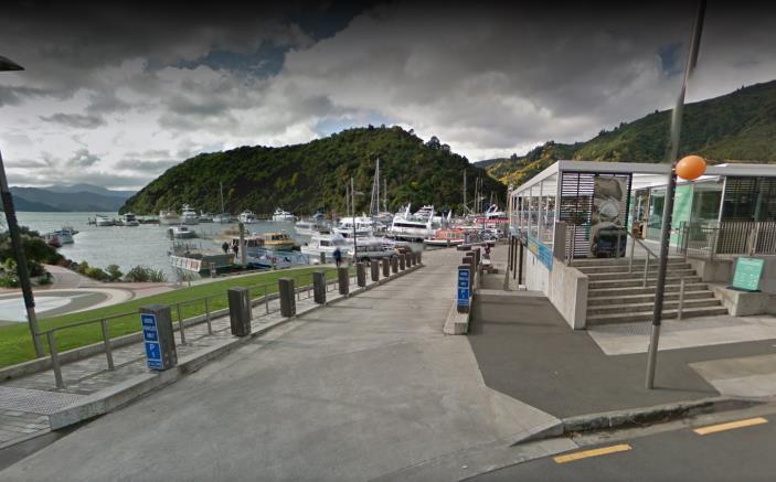 paddlers in Picton) Need