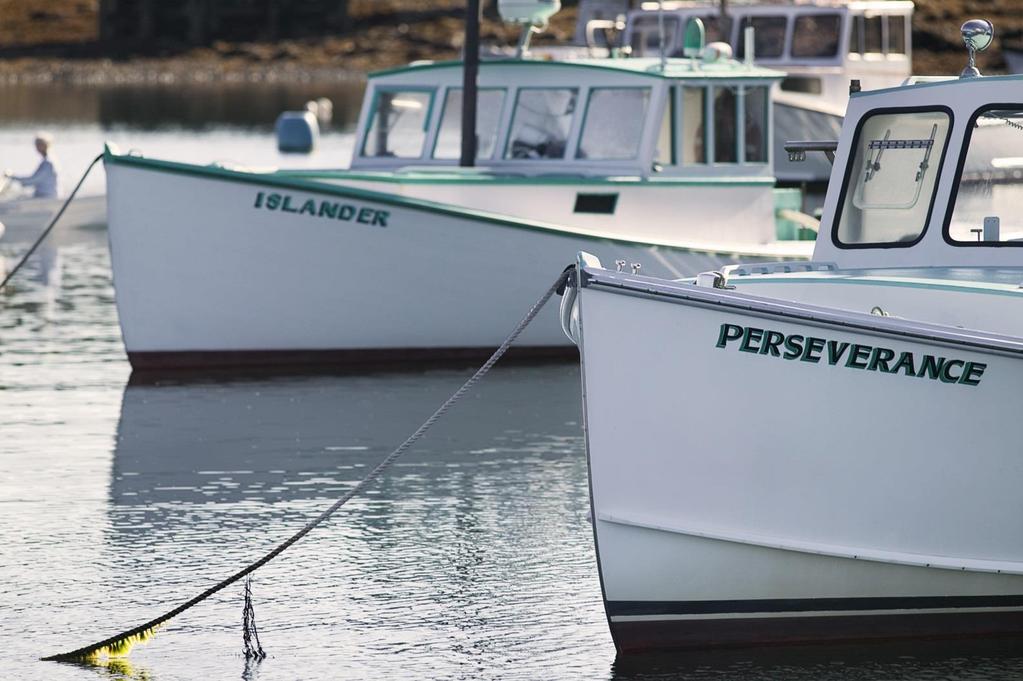 The disproportionately high number of lobster license-holders in the Penobscot Bay region relative to the rest of Maine underscores the vulnerability of its marine resource-based economy so heavily