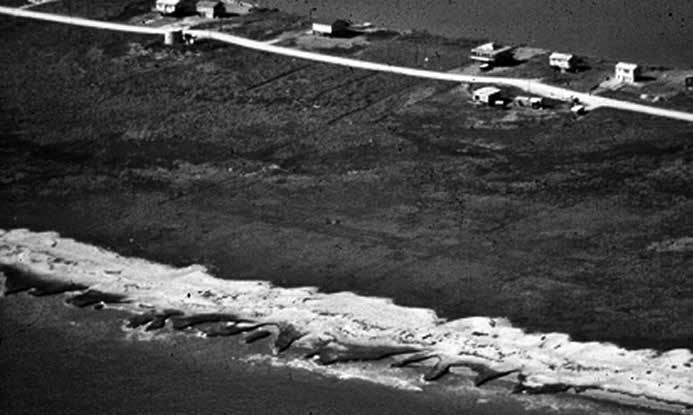 Figure 3. Oblique aerial photo of the Sargent Beach area during the early 1980s showing a thin veneer of beach sand overlying muddy marsh deposits as this shoreline was transgressing. Figure 4.