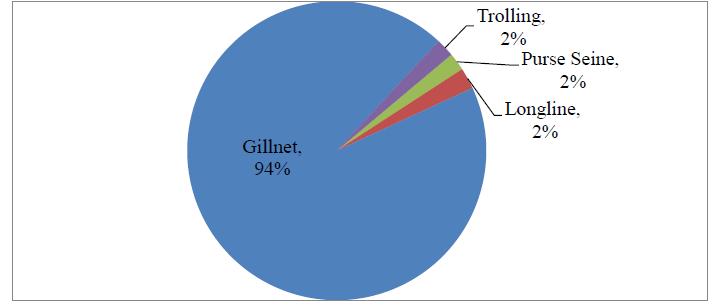 Gillnet with 94% of Catch is the dominant fishing gear followed by Purse seiners 2%, long line with 2% and around 2% comes from Trolling vessels.