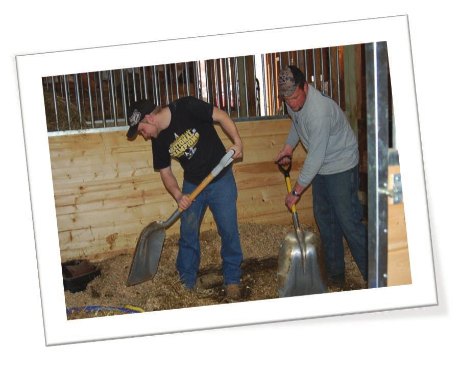Mucking or Stripping Mucking/picking stalls is something we do every day. It is the most time consuming part of the rescue and even though it is only shoveling poo, one of the most important.