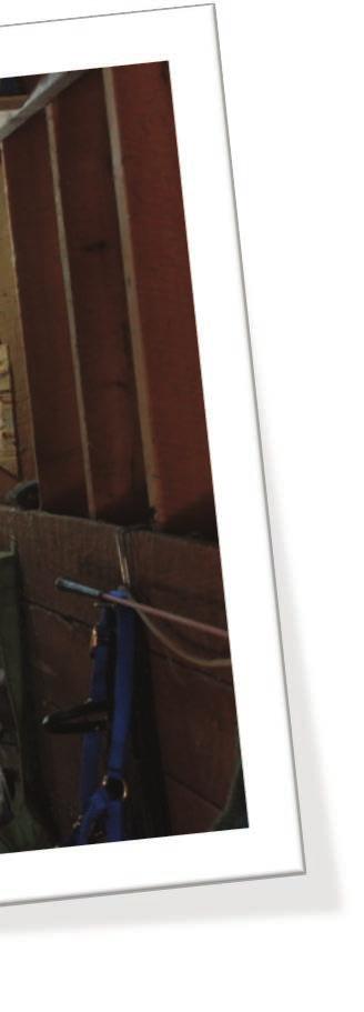 Stall Mats: Approximately every three months it is necessary to strip all the pads out of the stalls to be disinfected and to allow the stalls to air out.