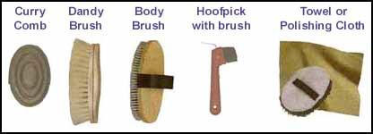 Grooming: Each horse has his or her own tack box. This insures that they do not share any unknown fungi or bacteria.