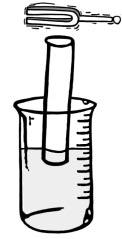 Fill the graduated cylinder near the top with water. Assign one investigator to strike and hold the tuning fork. Assign another investigator to hold and move the plastic tube slowly upwards.