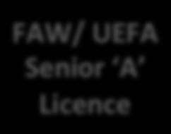 Youth B Licence FAW / UEFA B
