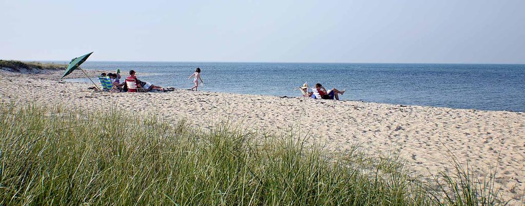 THERE IS NOTHING SO QUINTESSENTIALLY SUMMER AS A MARTHA S VINEYARD BEACH PICNIC. But as a cottage owner at Harbor View, the idea of a simple family picnic is taken to an entirely different level.