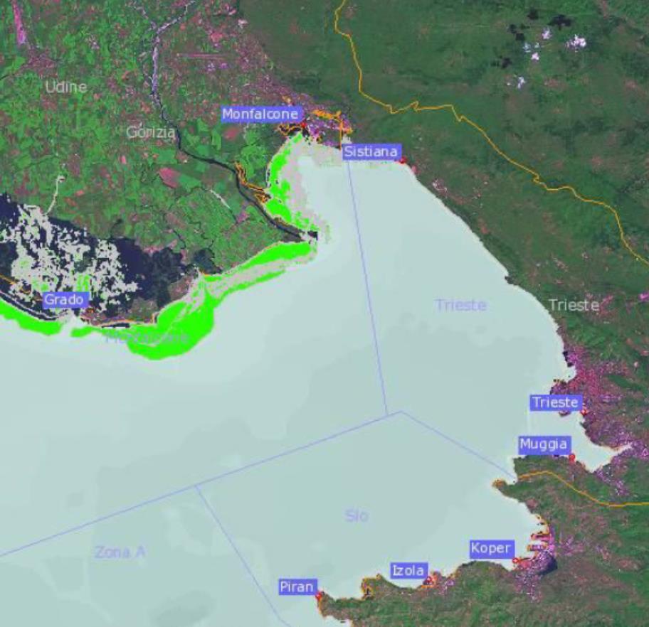 FISHING GROUNDS EXPLORED BY PURSE SEINE FLEET ITALY: Gulf of Trieste Small areas covered by Phanerogams in coastal area between Grado and