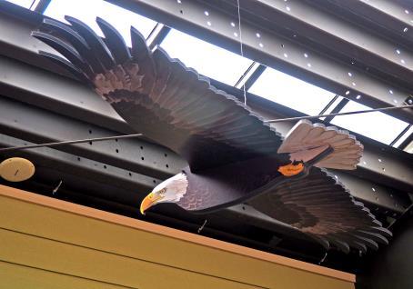 Hatchery displays of the Condor