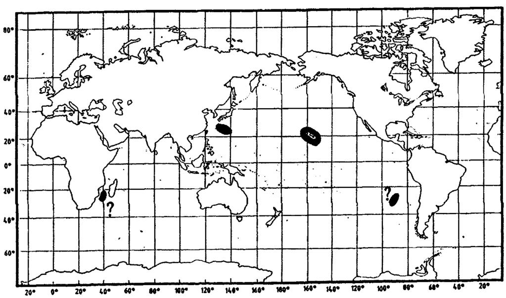 FAO0Names: En - Aloha grenadier (from lwamoto, in Smith & Heemstra, 1986) Fig.