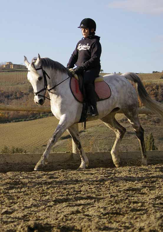 W e have more than 20 years of experience teaching children and we have well trained ponies and small horses which are very suitable for