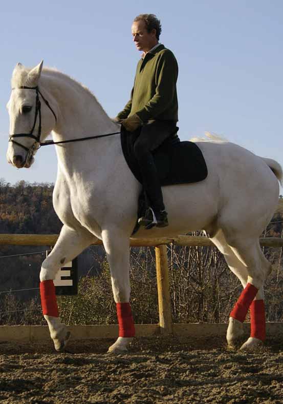 O ur training method is based on supplying and loosening up the horse to achieve elasticity and lightness in the use of the aids.