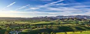 AVERAGE SALE PRICE TOTAL SFH SOLD Q3 $1,4, 6 SANTA YNEZ The Santa Ynez Valley is home to many worldrenown vineyards and wineries as well as recognized horse breeding ranches.