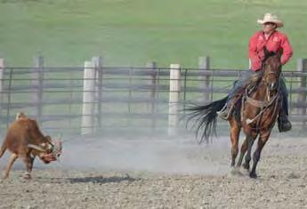 racing and roping the dummy.