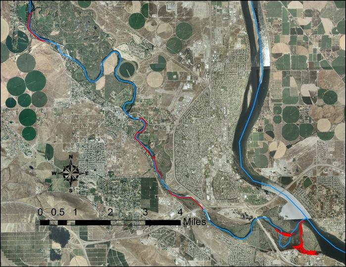 Fish Surveys and Management in the Lower Yakima River and the Yakima Delta Primary Survey & Management