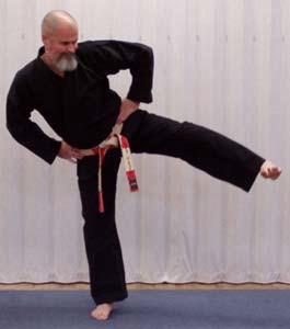 17) Side Kick: Start with both hands on hips and ready stance.