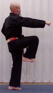 12) Punch-Kick Under: Start with left hand forward,