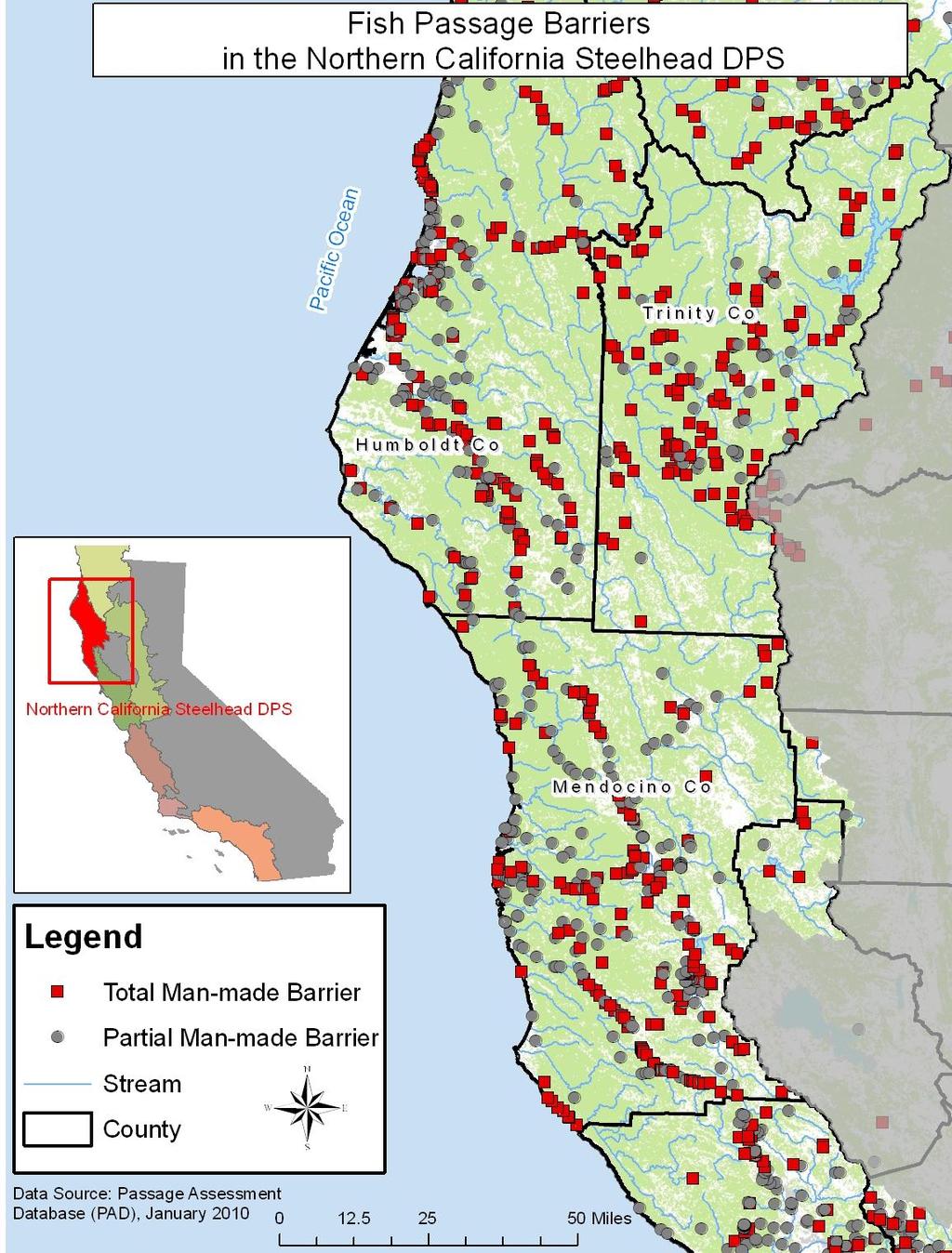 Northern California Status: Threatened (2000)