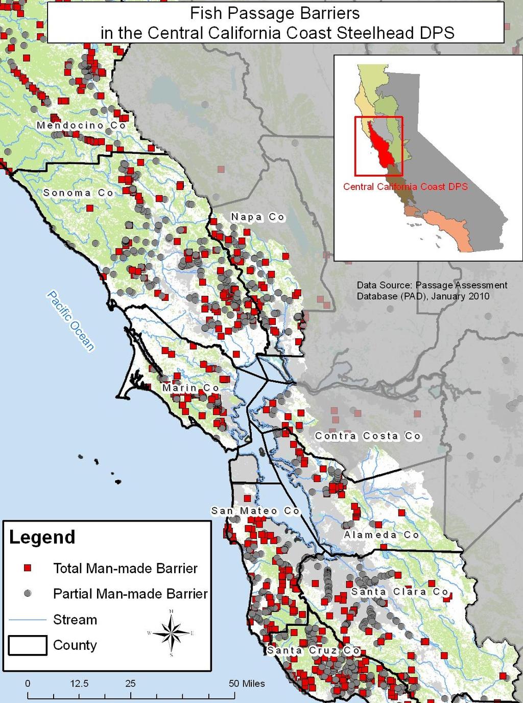 Central California Coast Status: Threatened (1997) DPS includes: Winter Steelhead Stocks continue to decline Primary Threats: Habitat blockages Habitat degradation Urbanization Dewatering from