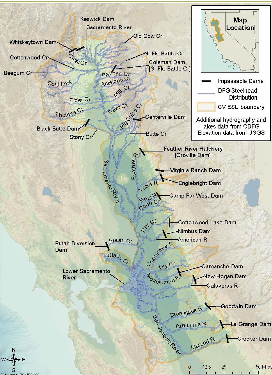 Central Valley Status: Threatened (1998) Shasta Dam -