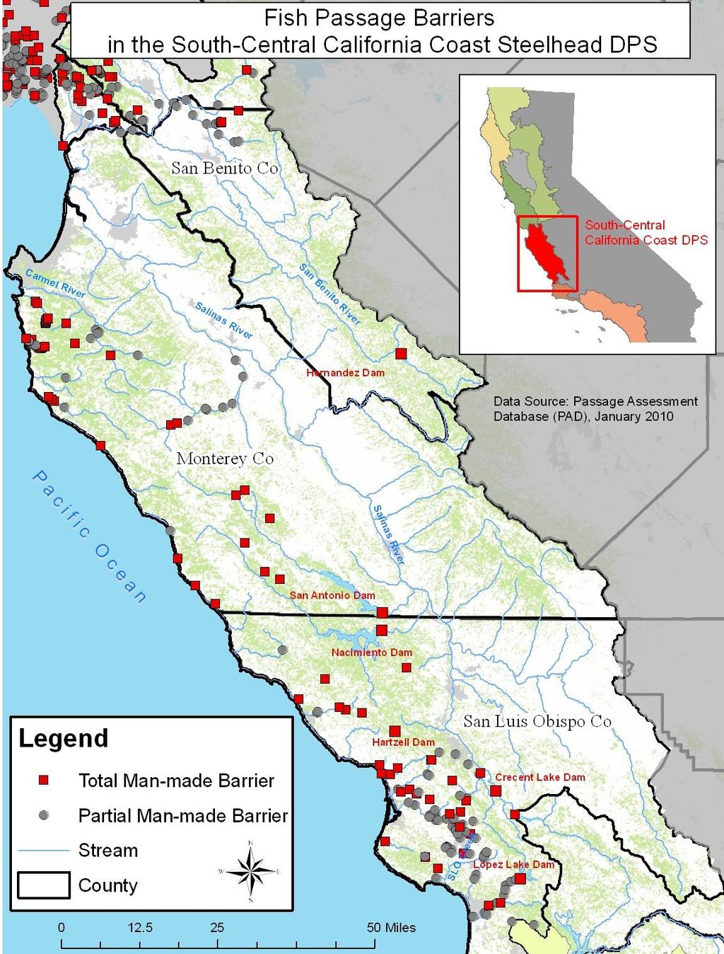 South-Central California Coast Status: Threatened (1997) DPS includes: Winter Steelhead Stocks continue to decline Primary Threats: Habitat blockages Habitat degradation Dewatering from irrigation
