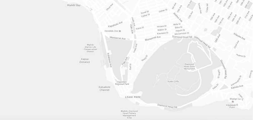 GETTING BACK TO YOUR HOTEL Most Waikiki hotels are within walking distance from Kapiolani Park.