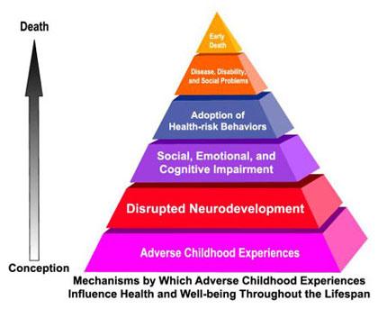 The Often Hidden Driver: Adverse Childhood Events ACE Score = 1 point each for positive responses to 10 questions inquiring about exposure to: Physical abuse Emotional abuse Sexual abuse