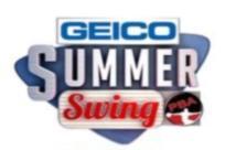 Geico Summer Swing King of the Swing Each winner of the four animal patterns recieved an automatic entry into the King of the Swing.