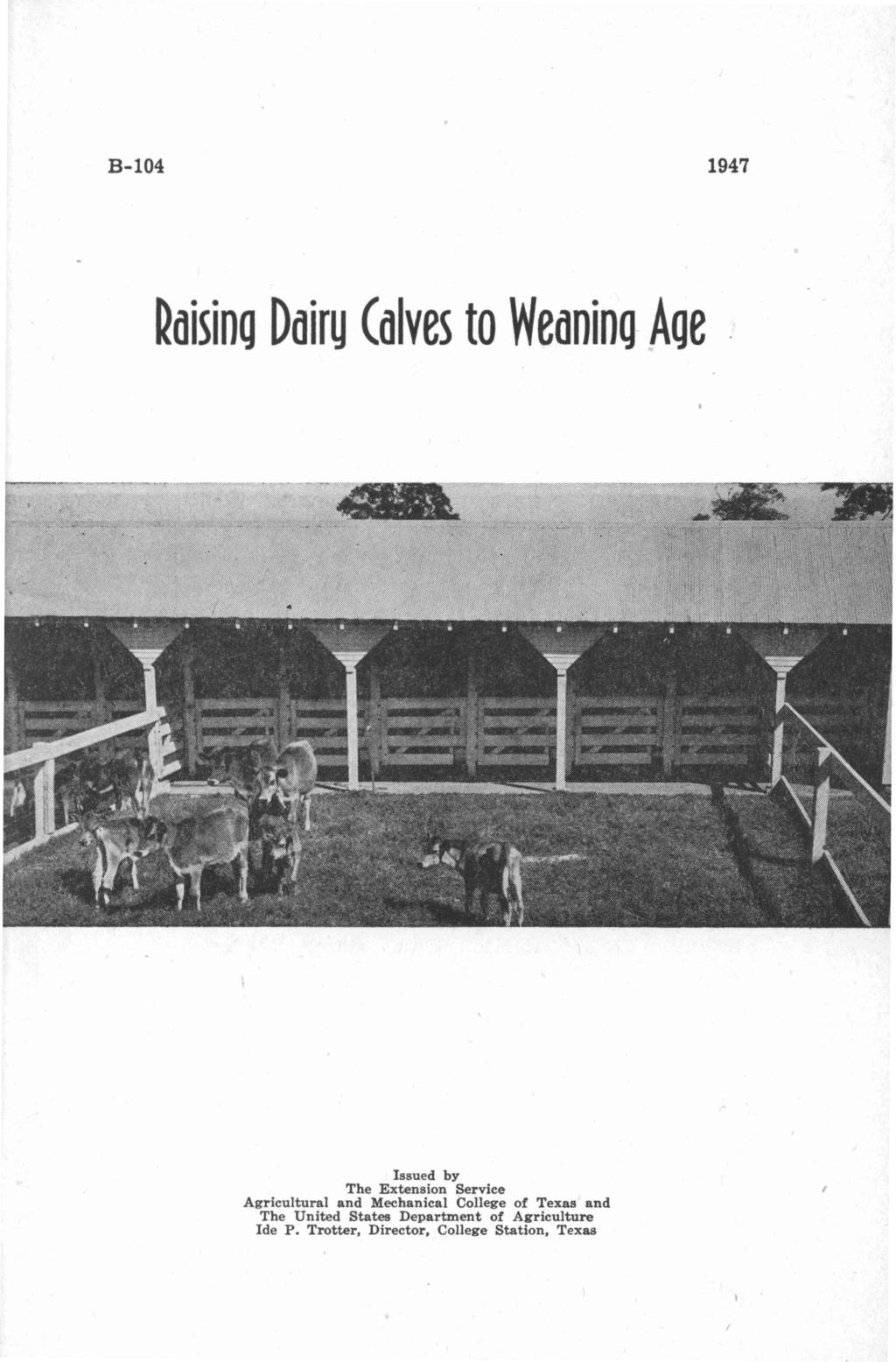 B-I04 1947 ~aising Dairy Calves to Weaning Age Issued by The Extension Service Agricultural and Mechanical