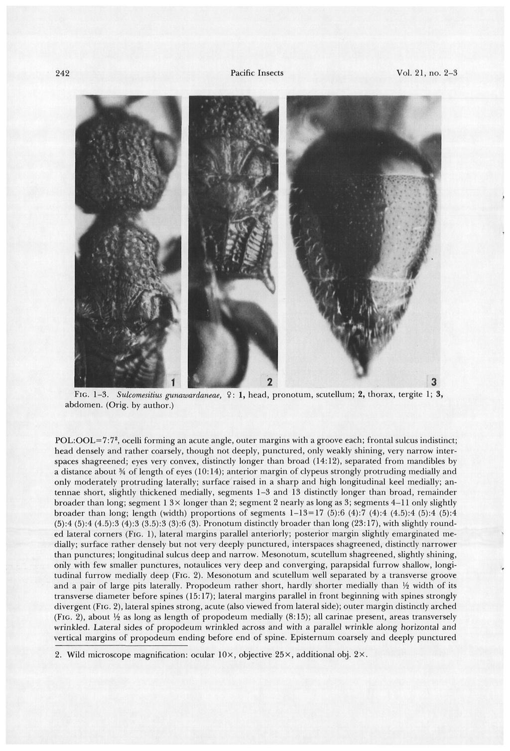 242 Pacific Insects Vol. 21, no. 2-3 FIG. 1-3. Sulcomesitius gunawardaneae, 9: 1, head, pronotum, scutellum; 2, thorax, tergite 1; 3, abdomen. (Orig. by author.